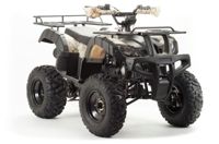 купить Квадроцикл MOTOLAND 200 All Road (2021 Г.) в Москве - фото 