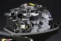 купить 2х-тактный лодочный мотор SUZUKI DT9.9AS в Москве - фото 