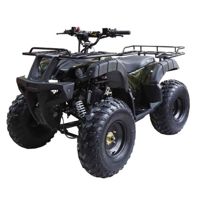 купить Квадроцикл WELS ATV Thunder 150 в Москве - фото 