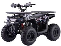 купить Квадроцикл BSE XT-1U Black в Москве - фото 