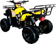 купить Квадроцикл AVANTIS Hunter 7 LITE в Москве - фото 
