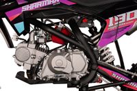 купить Мотоцикл питбайк SHARMAX MOTORS PowerMax 190 MIAMI в Москве - фото 