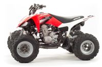 купить Квадроцикл MOTOLAND 125S (2020 Г.) в Москве - фото 