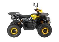 купить Квадроцикл AVANTIS Optima 8 Lux в Москве - фото 
