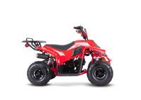 купить Квадроцикл SHARMAX 130 Cross в Москве - фото 