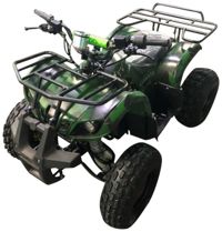 купить Электроквадроцикл AVANTIS ATV Classic 8E (1000W) в Москве - фото 