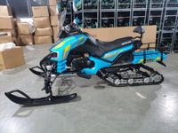 купить Снегоход MOTOLAND Bars 200 в Москве - фото 