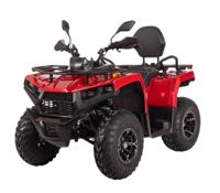 купить Квадроцикл BIZON YK250 Lux EFI в Москве - фото 