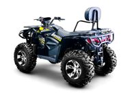 купить Квадроцикл BIZON ZX350 в Москве - фото 