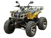 купить Электроквадроцикл ETORO MT-3400W Quad Electro 4x4 в Москве - фото 