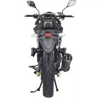 купить Мотоцикл REGULMOTO Majesty в Москве - фото 