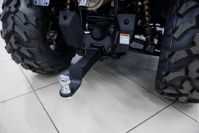 купить Квадроцикл HISUN Guardian 750S Short (ПСМ) в Москве - фото 