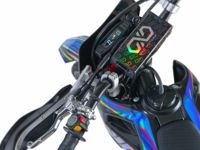 купить Мотоцикл кроссовый эндуро OXO Lite 250 X в Москве - фото 