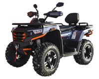 купить Квадроцикл MOTOLAND ATV 300 Max X в Москве - фото 