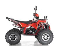 купить Квадроцикл WELS Thunder EVO X в Москве - фото 