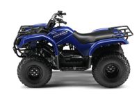 купить Квадроцикл GRIZZLY 125 в Москве - фото 