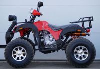 купить Квадроцикл STALKER 250 Lux в Москве - фото 