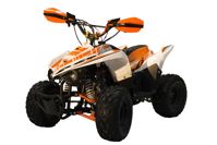 купить Квадроцикл RACER RC 110 Coyote в Москве - фото 