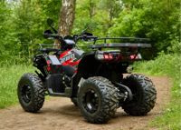 купить Квадроцикл SHARMAX 280 RX Activator в Москве - фото 
