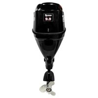 купить 4х-тактный лодочный мотор TOYAMA F9.9BMS в Москве - фото 