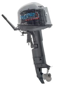 купить Дизельный лодочный мотор MIKATSU MD25FHL (2024) в Москве - фото 