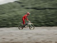 купить Мотоцикл питбайк SHARMAX MOTORS PowerMax 145 MIAMI в Москве - фото 