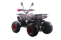 купить Квадроцикл MOTAX ATV Grizlik Premium 125cc в Москве - фото 