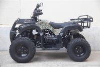 купить Квадроцикл UNIVERSAL Avenger JR 200 в Москве - фото 