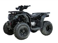 купить Квадроцикл ПРОГАСИ Race Jumper 200 Max Power в Москве - фото 