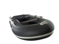 купить Гребная лодка ПВХ ФАВОРИТ Сомик 260 в Москве - фото 