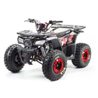 купить Квадроцикл MOTOLAND Wild 150 в Москве - фото 