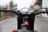 купить Мотоцикл кроссовый эндуро PROCIDA 2020 PR300 в Москве - фото 