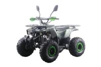 купить Квадроцикл MOTAX ATV Grizlik Premium 125cc в Москве - фото 