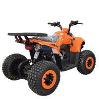 купить Квадроцикл ATV Giro в Москве - фото 