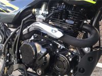 купить Мотоцикл кроссовый эндуро RACER Panther RC300-GY8X в Москве - фото 