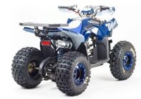 купить Квадроцикл MOTOLAND 125 Coyote (2021 Г.) в Москве - фото 