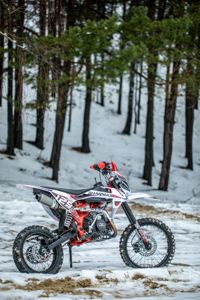 купить Мотоцикл питбайк SHARMAX PowerMax 125 (2024) в Москве - фото 