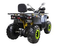 купить Квадроцикл MOTOLAND 200 Wild Track X Winch в Москве - фото 