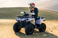 купить Квадроцикл SHARMAX Hummer 300 в Москве - фото 