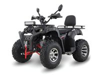 купить Квадроцикл GRIZZLY 200 Premium в Москве - фото 