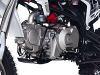 купить Мотоцикл питбайк SHARMAX Sport 145 в Москве - фото 