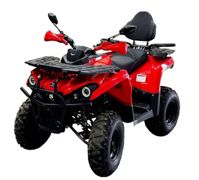 купить Квадроцикл BISON Hammer 250 PRO в Москве - фото 