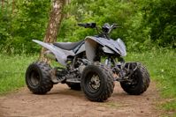 купить Квадроцикл SHARMAX Raizer Race Cup 250 в Москве - фото 