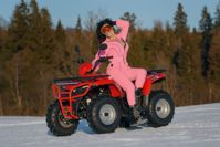 купить Квадроцикл SHARMAX Luxe 300  (2024) в Москве - фото 