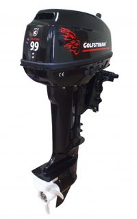 купить 2х-тактный лодочный мотор GOLFSTREAM T 9.9 BMS в Москве - фото 