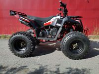 купить Квадроцикл ATV Commander 200 в Москве - фото 