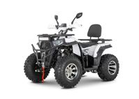 купить Квадроцикл YACOTA Viking 200 PRO в Москве - фото 