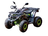 купить Квадроцикл MOTOLAND 125 Wild X Pro в Москве - фото 