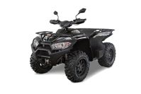 купить Квадроцикл ACCESS AMX 8.57 EPS LV LTD (ПСМ) в Москве - фото 