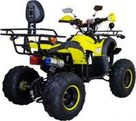 купить Квадроцикл AVANTIS Hunter 8M Lux 125 2017 в Москве - фото 